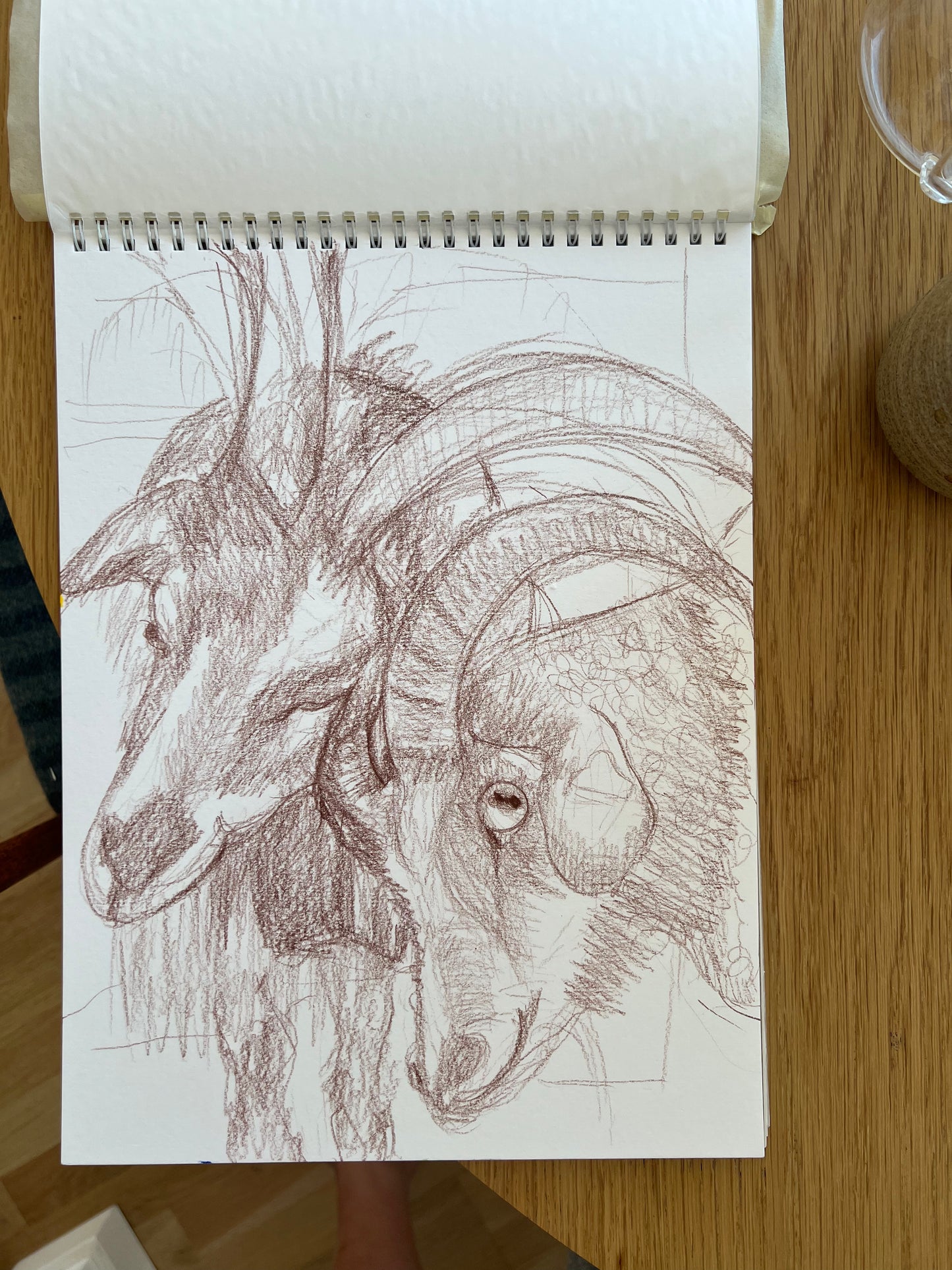 Goat sketch, Visual artwork, Painting, Art, Abstract, Gift