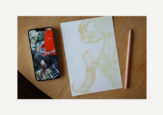 Feeding otters,  visual work, sketching, color pencil