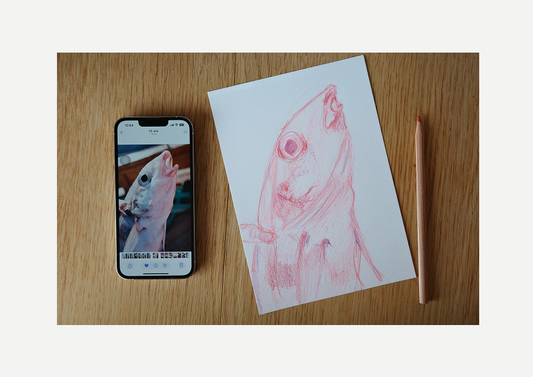 Caught cod, art, visual work, sketching, color pencil