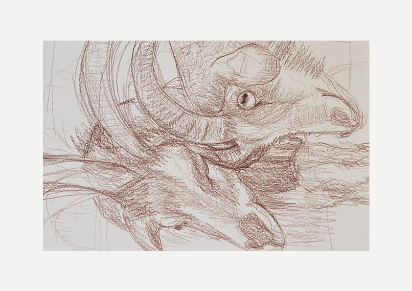 Goat sketch, Visual artwork, Painting, Art, Abstract, Gift