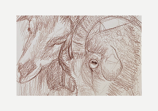Goat sketch, Visual artwork, Painting, Art, Abstract, Gift