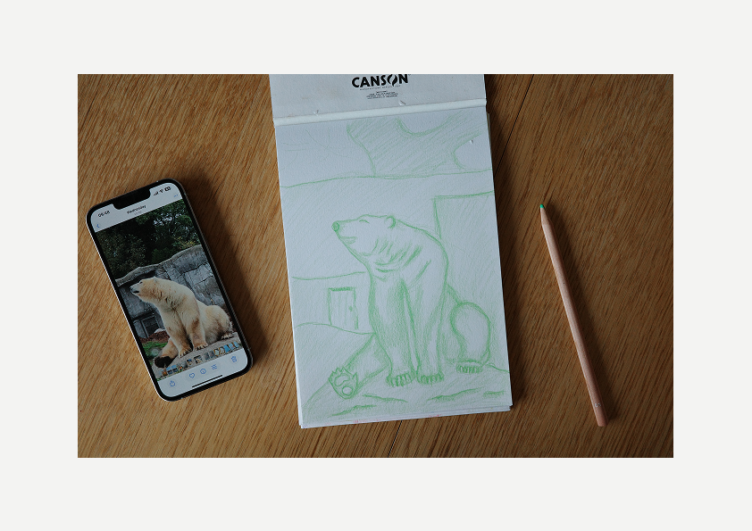 Polar bear, art, visual work, sketching, color pencil