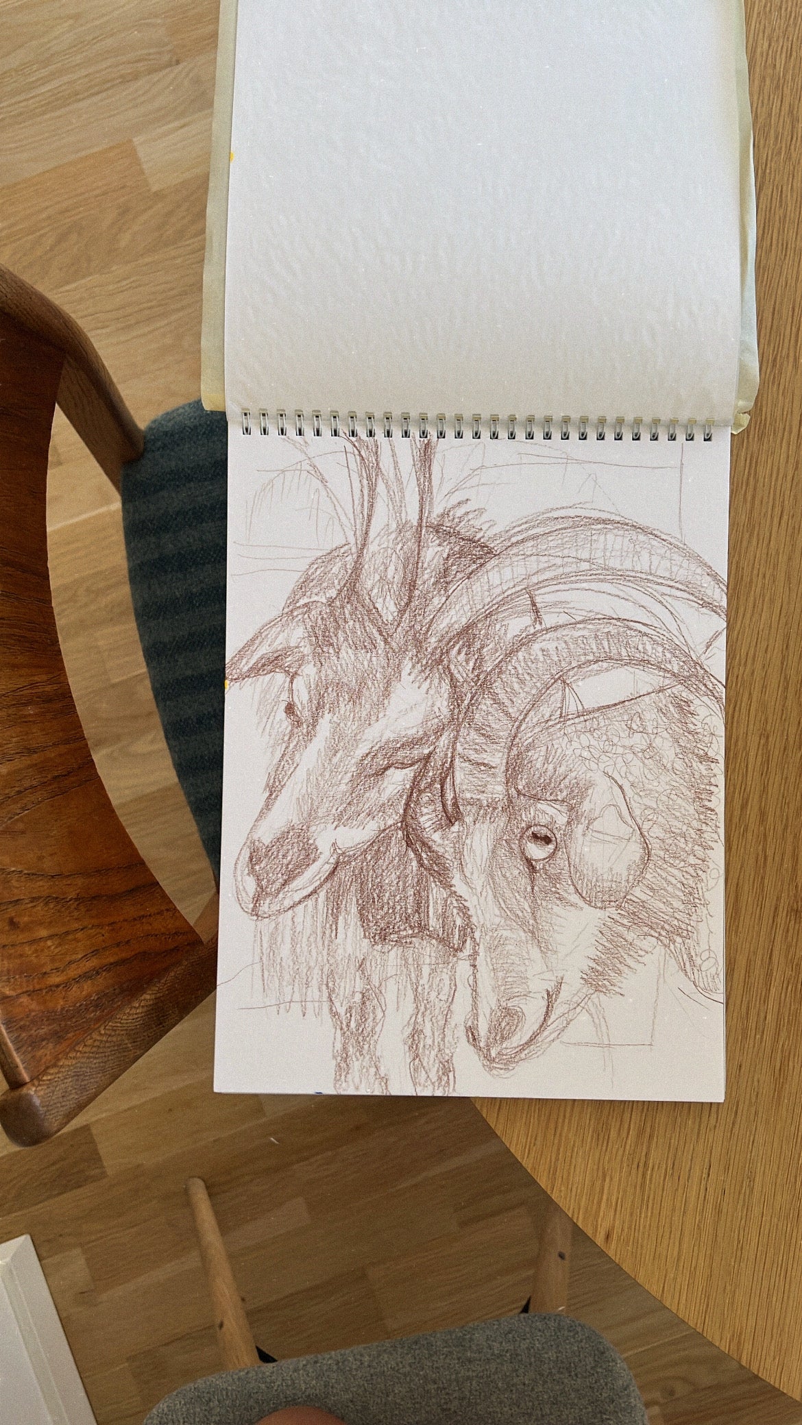 Goat sketch, Visual artwork, Painting, Art, Abstract, Gift