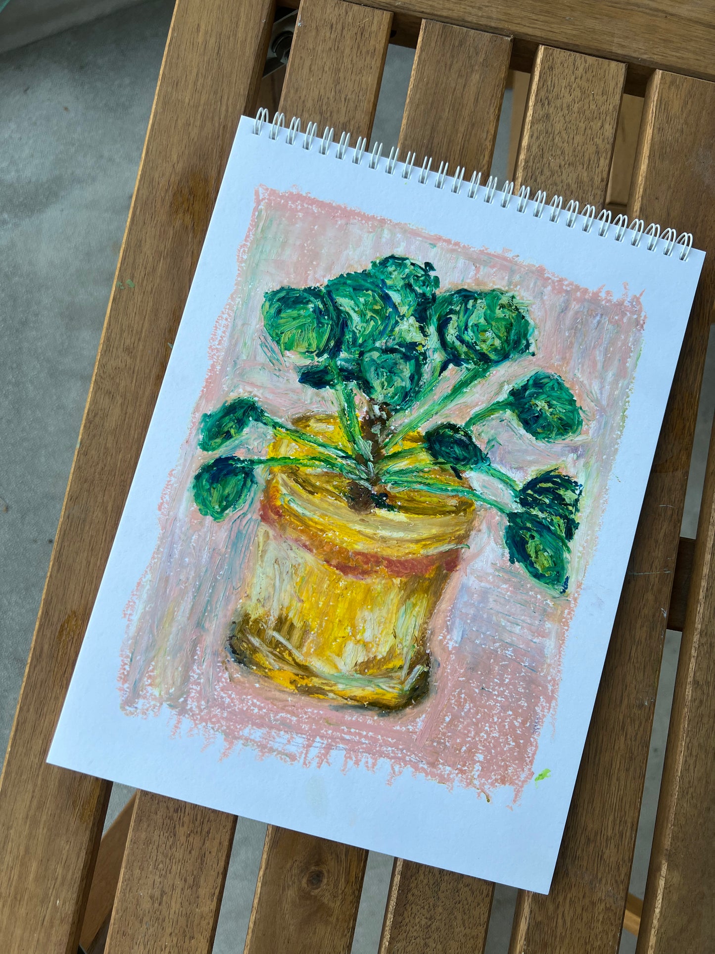 Chinese coin plant, Oil pastel, Visual artwork, Painting, Art, Abstract, Gift