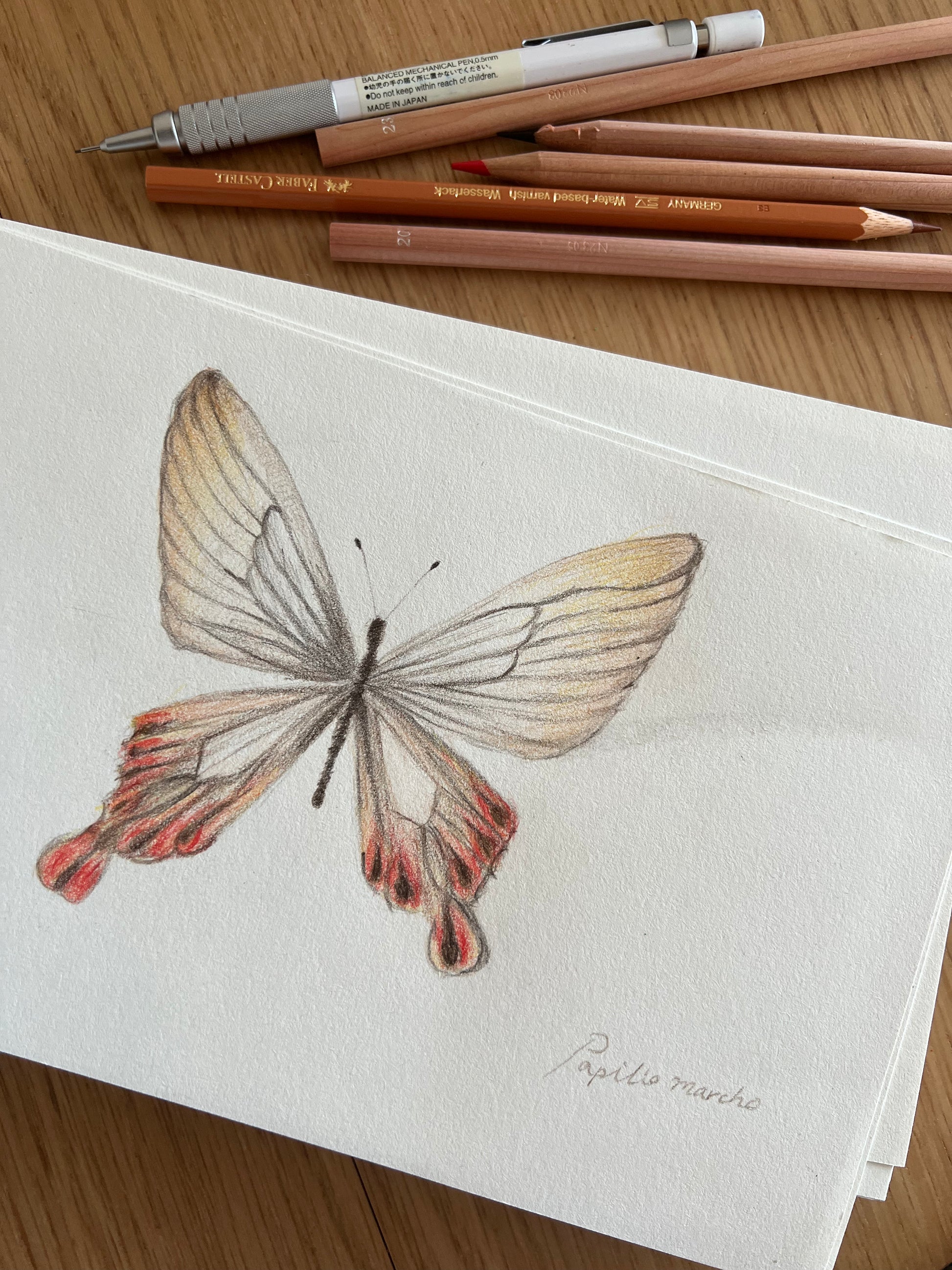 Butterfly illustration on paper with colored pencils on a wooden surface