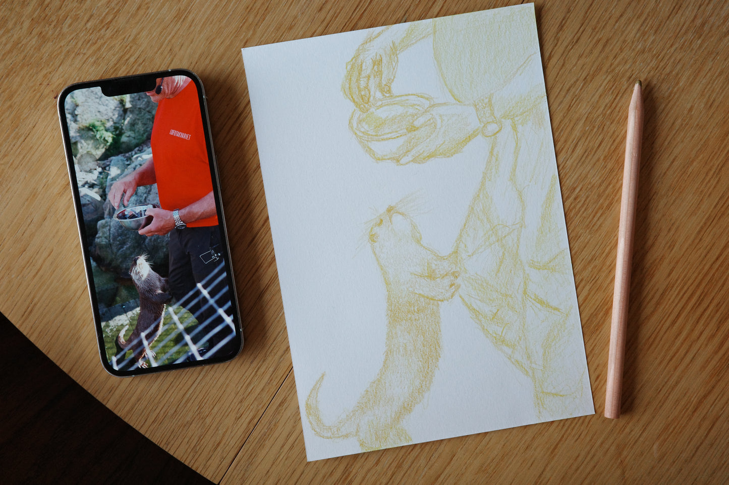 Feeding otters,  visual work, sketching, color pencil