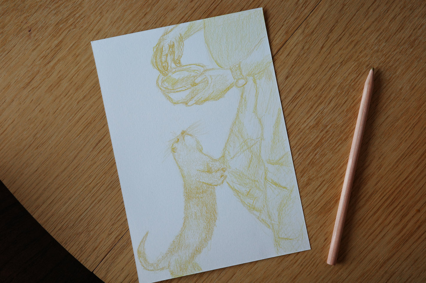 Feeding otters,  visual work, sketching, color pencil