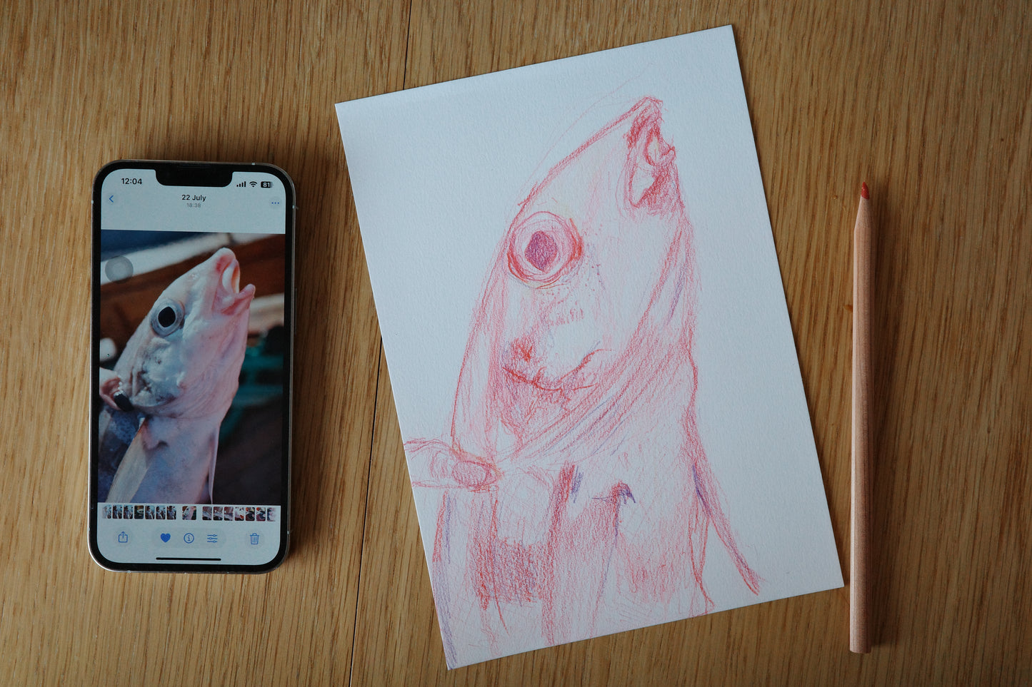 Caught cod, art, visual work, sketching, color pencil