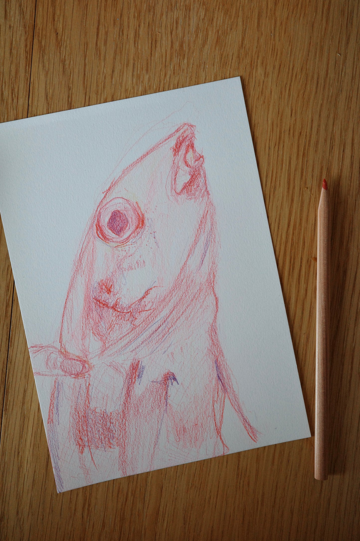 Caught cod, art, visual work, sketching, color pencil