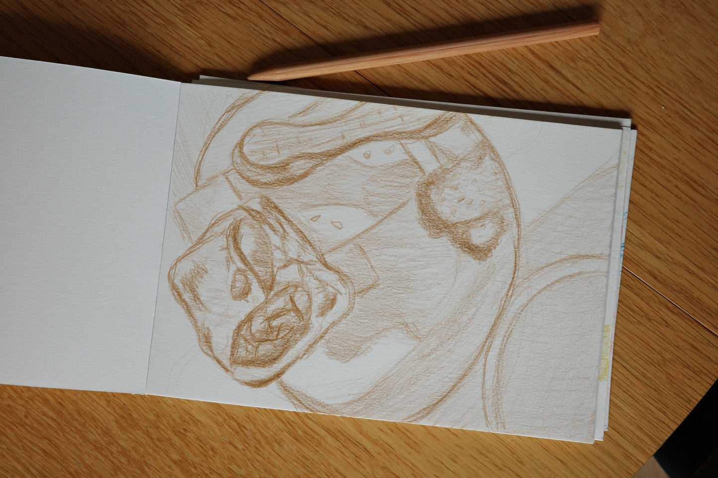 Sourdough sketches, art, visual work, sketching, color pencil