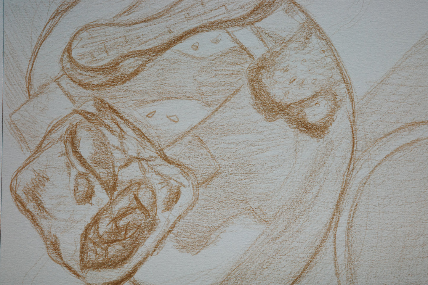 Sourdough sketches, art, visual work, sketching, color pencil