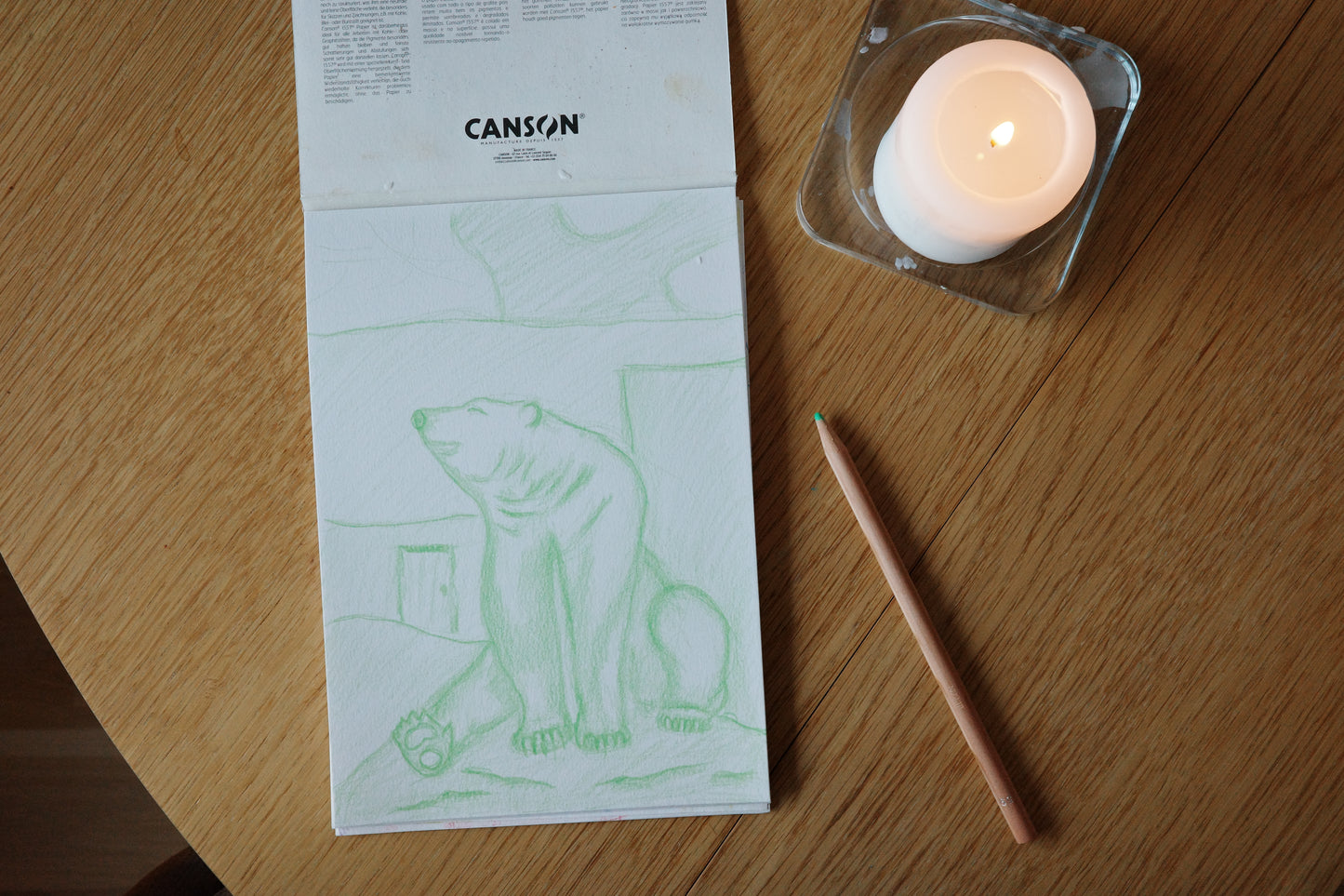 Polar bear, art, visual work, sketching, color pencil