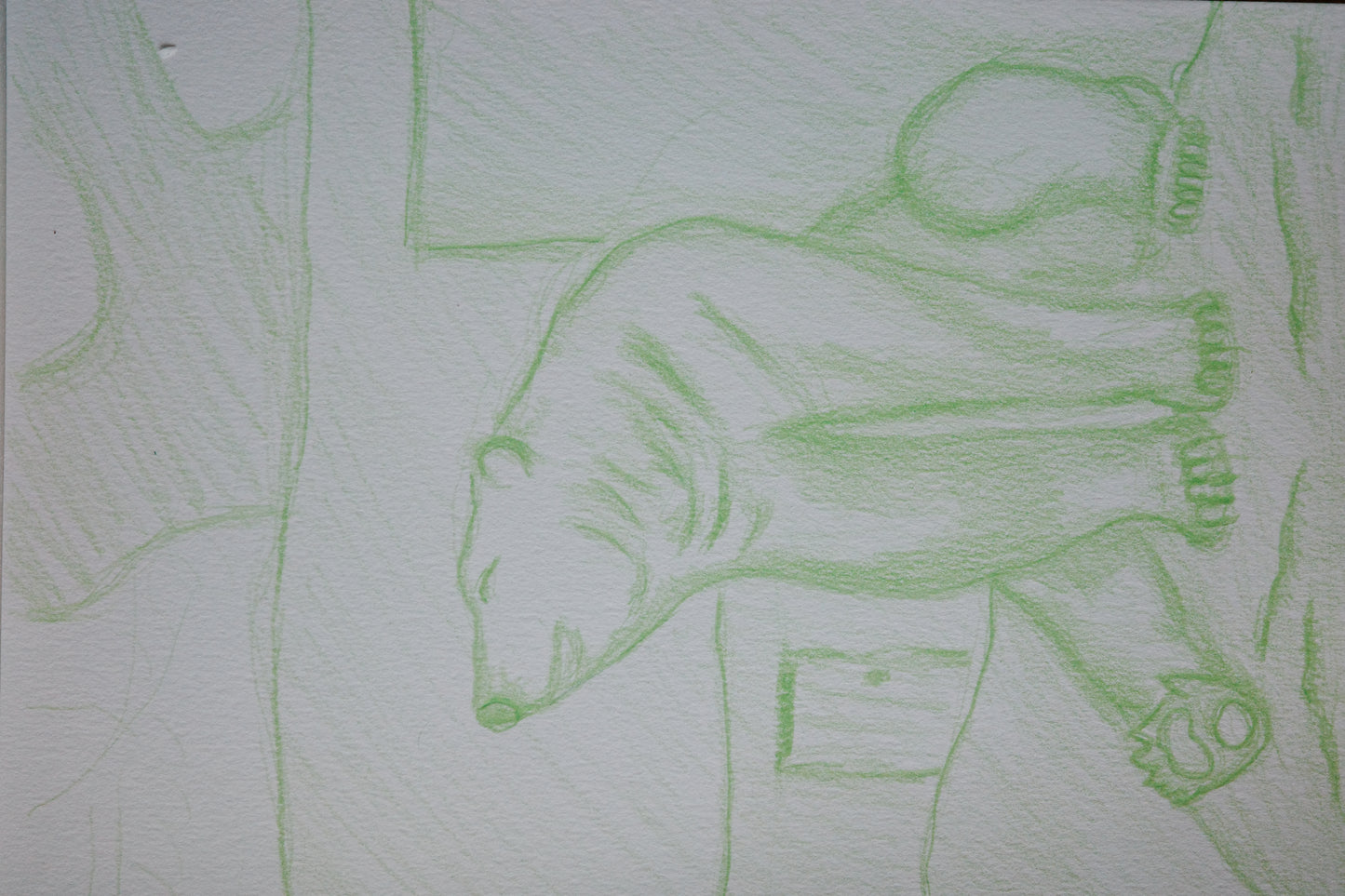 Polar bear, art, visual work, sketching, color pencil